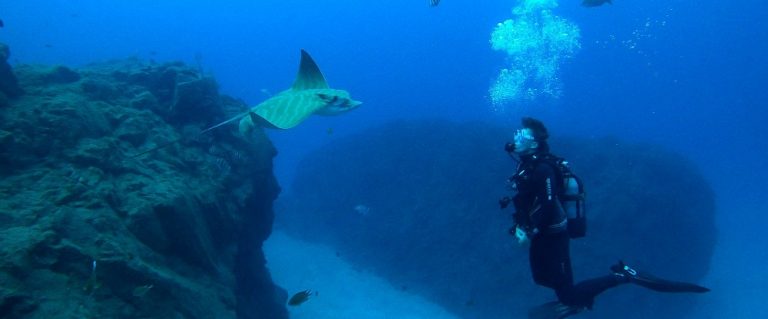 Try Dive in Tenerife south – The best place to dive for beginners